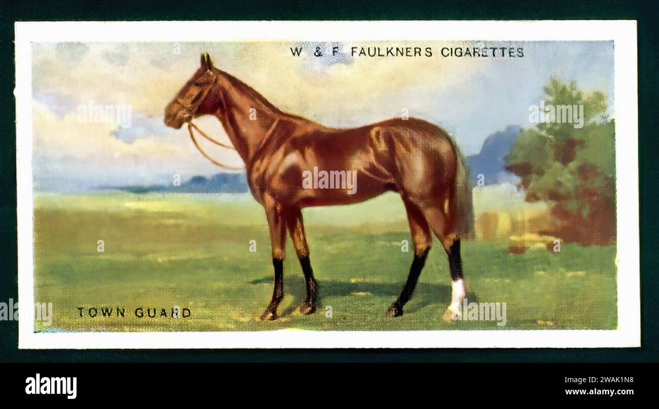 Racehorse christmas card