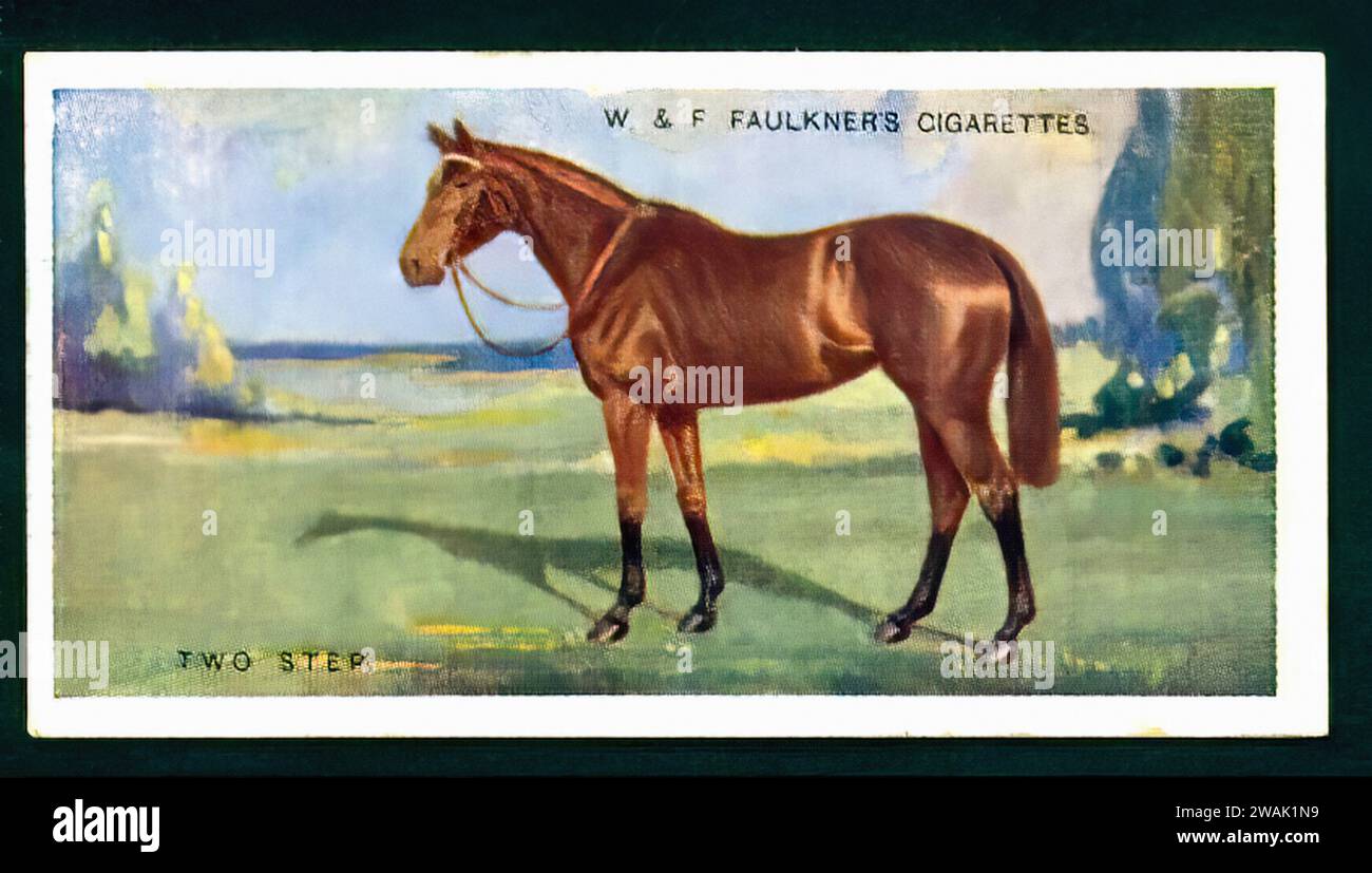 Racehorse christmas card