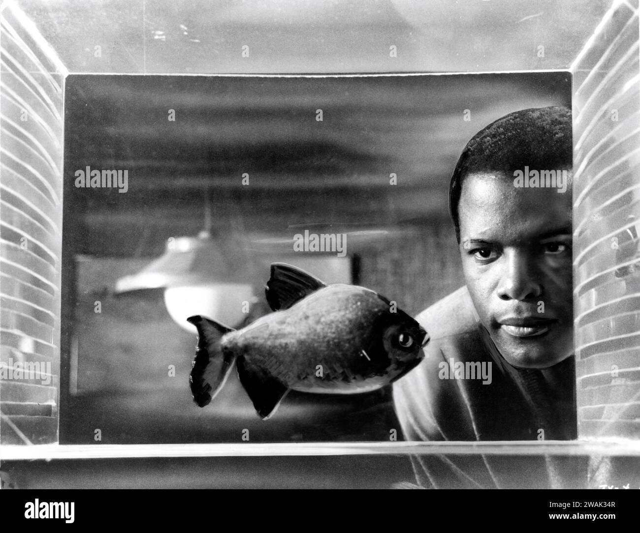 Fishbone Jones Robert fish jones hi-res stock photography and images - Alamy