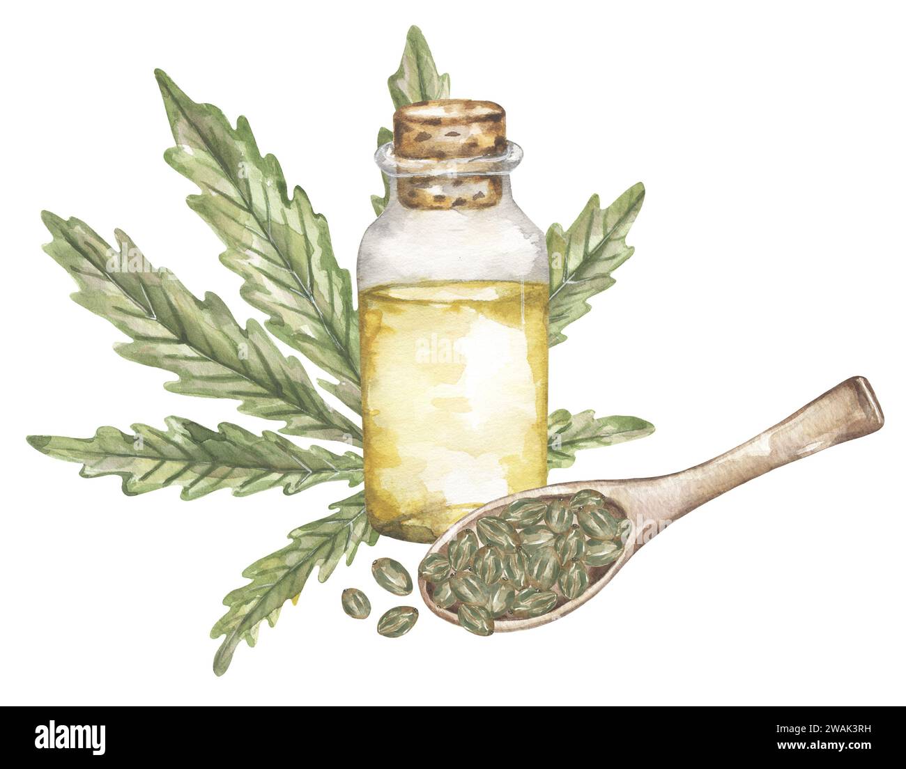 Watercolor Cannabis oil and seeds illustration, marijuana leaves clipart, hand painted Natural therapeutic drug clip art, medical plant oil bottle com Stock Photo