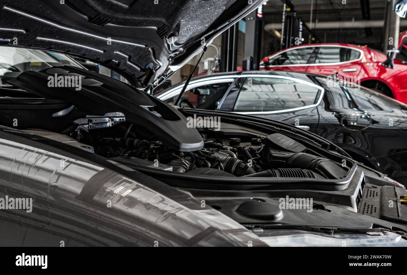 Dealership Auto Service Theme. Vehicle Under Warranty Maintenance and