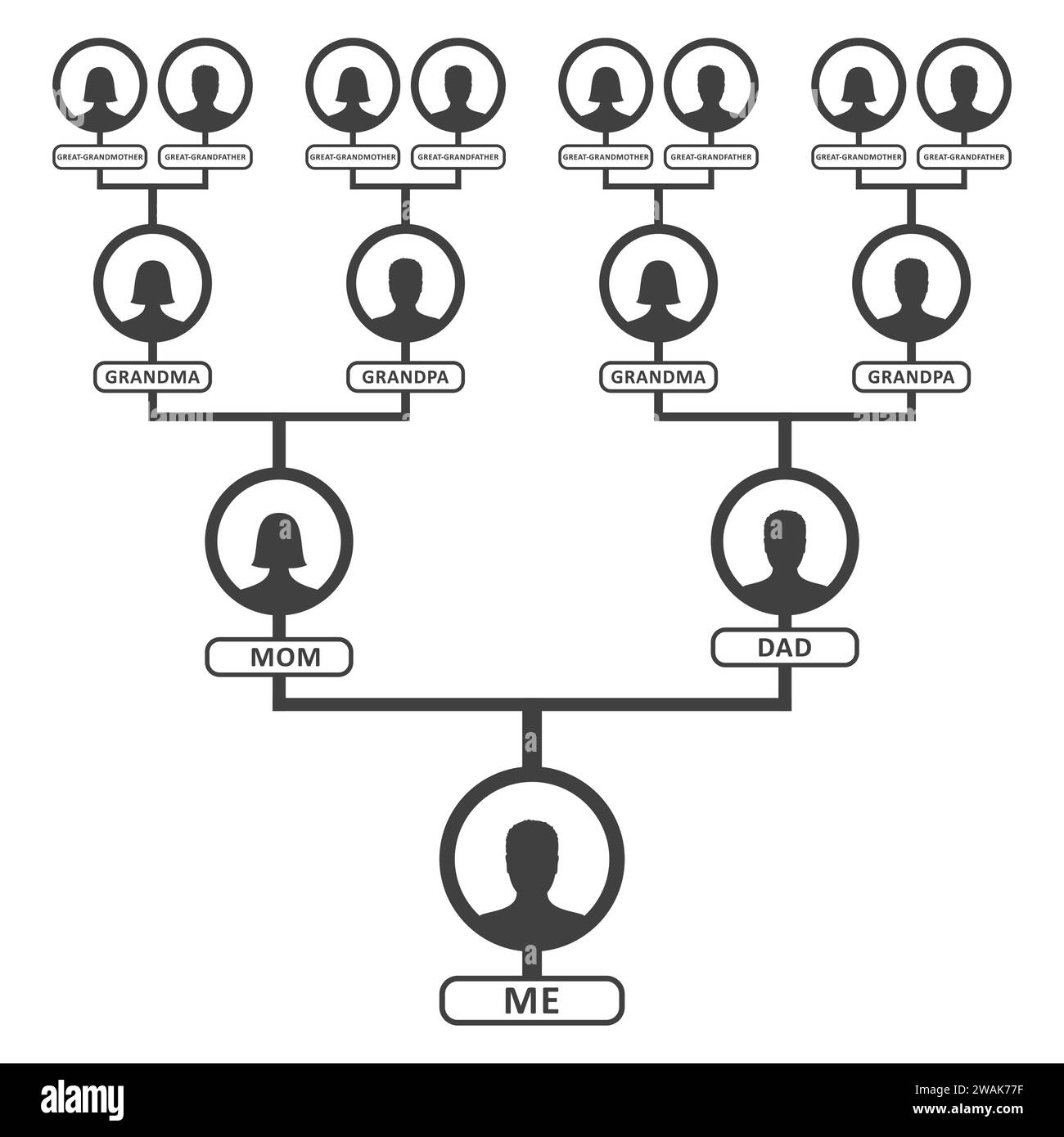Family Tree Chart Genealogy,Blank Family Tree Chart Beiges
