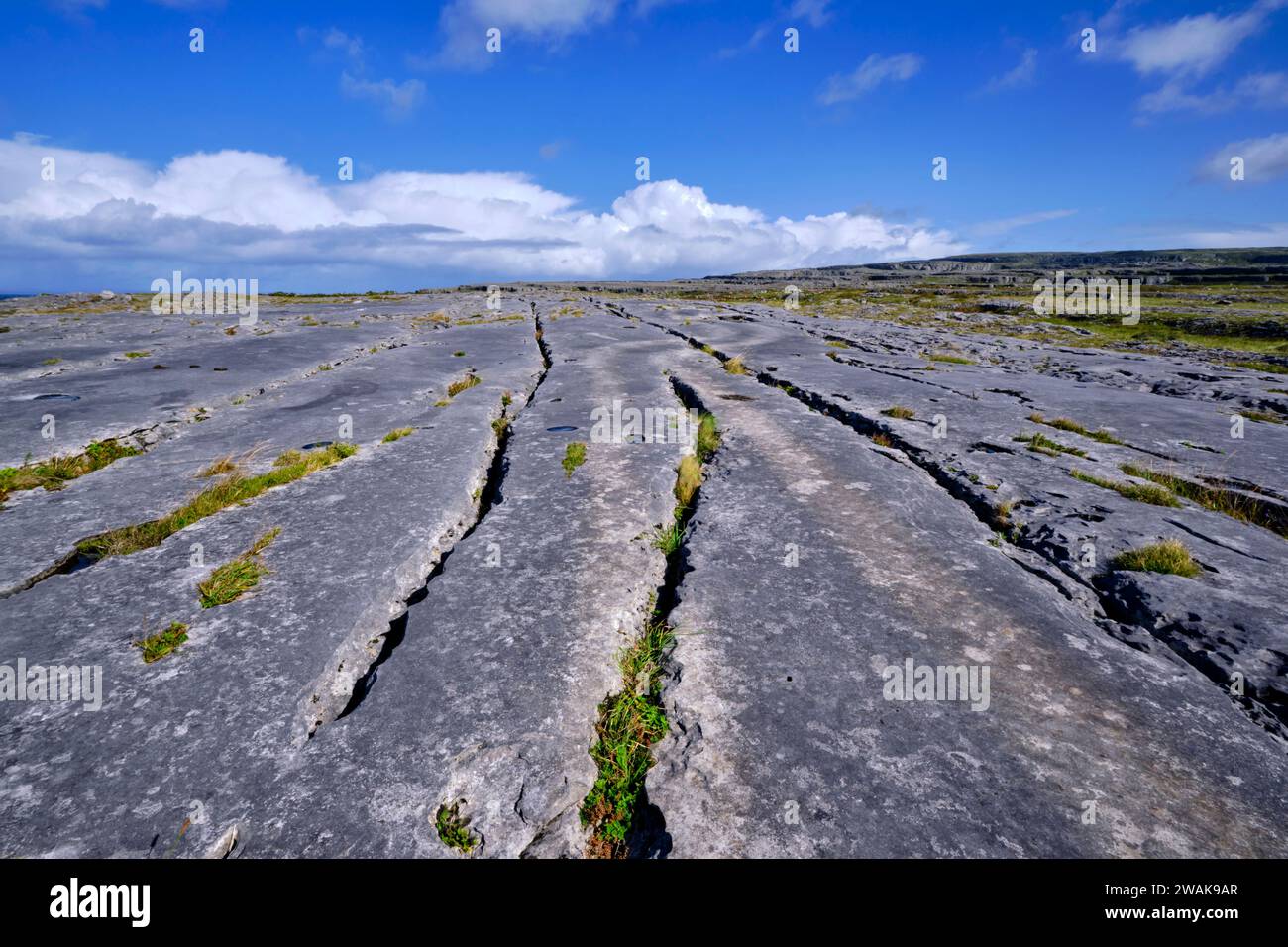 Republic of Ireland, County Clare, The Burren, Black Head Stock Photo