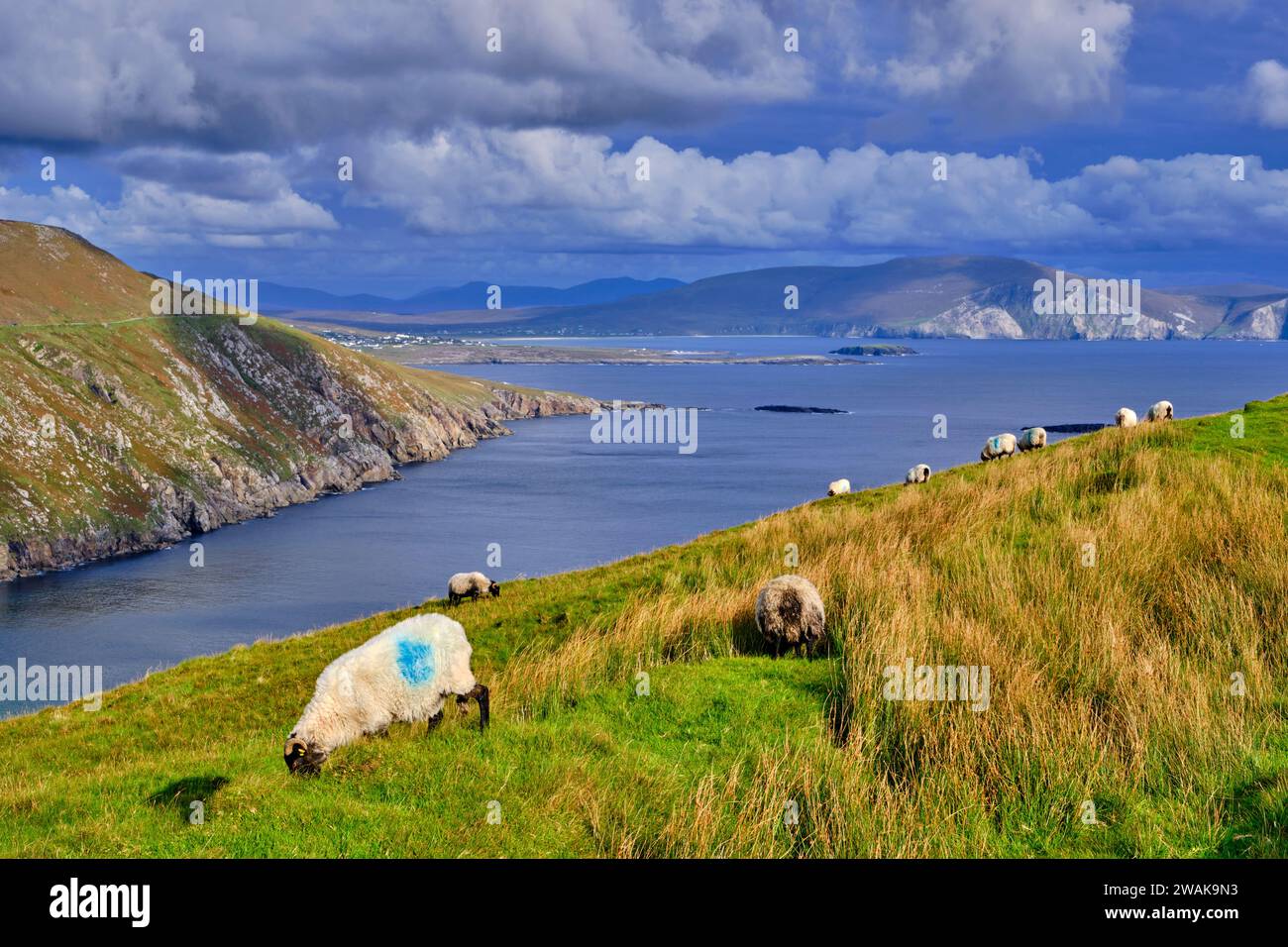 Republic of Ireland, Mayo county, Achill Island, Keem bay Stock Photo
