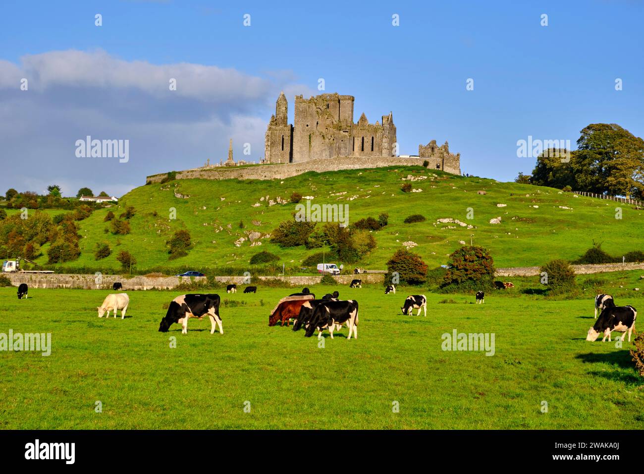 Republic of Ireland, Munster, County Tipperary, the ruined abbey on the Rock of Cashel Stock Photo