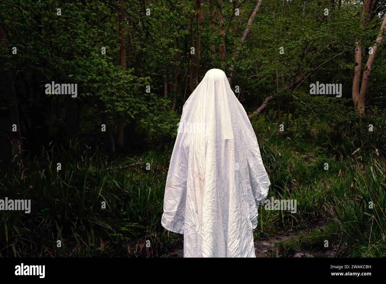 chinese dress ladies Amazon.com: Large Lighted White Cloth Ghost with Adjustable Height for  Party Decor, Indoor and Outdoor Displays, Party, Halloween, Battery  Operated, Lifelike Eyes : Patio, Lawn & Garden