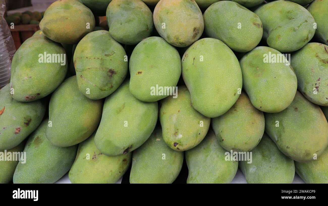 Pile of green mango, Anacardiaceae, Mangifera indica Linn. selling in the market Stock Photo Alamy