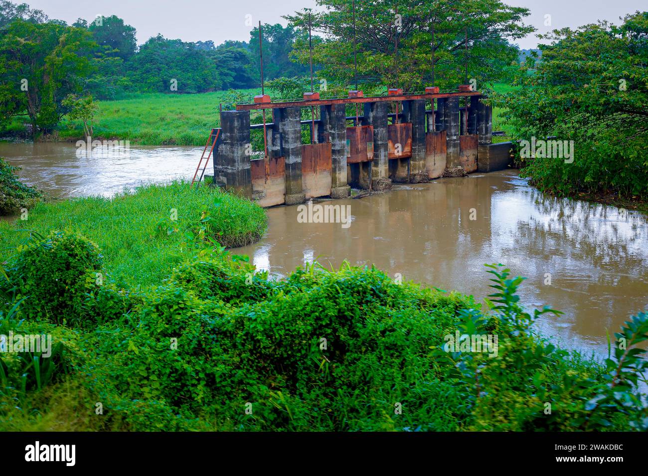A dam was built in the middle of a small river which is still functioning in western of sri lanka Stock Photo