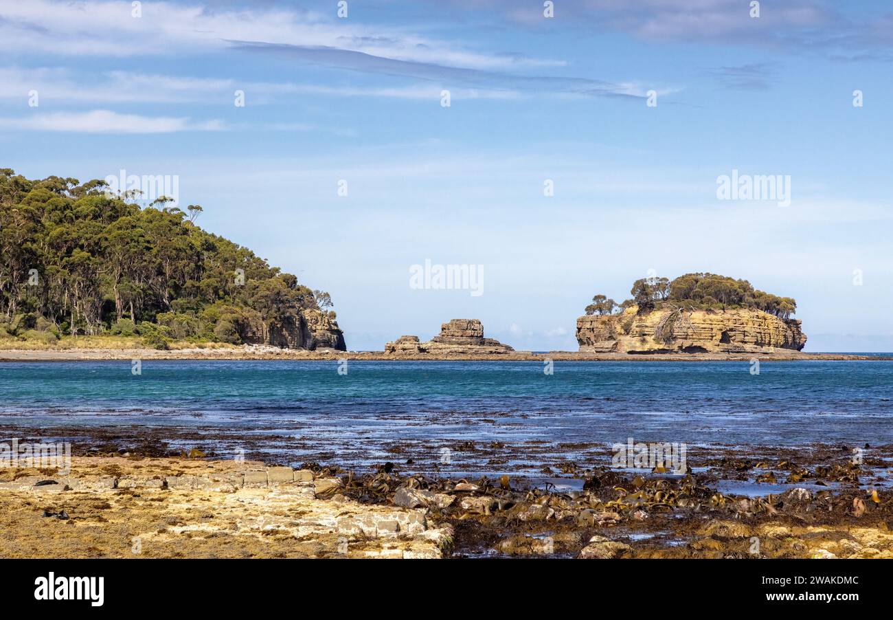 The Tessellated Pavement at Pirates Bay Beach, Tasmania, looking across to Clyde's Island. Summer view with blue sky. Stock Photo