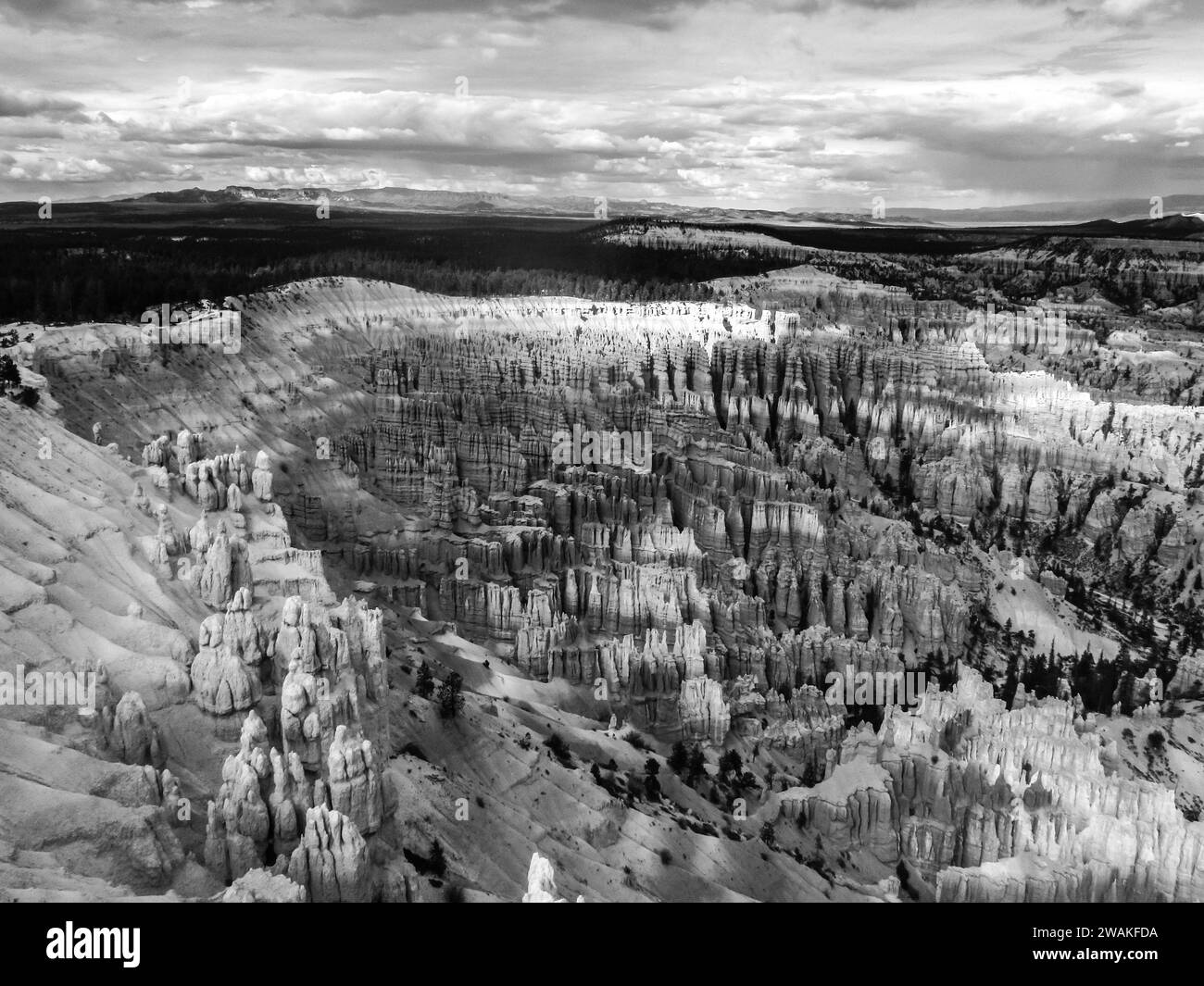 One of the Hoodoo filled amphitheatres of Bryce Canyon National Park in Black and White Stock Photo