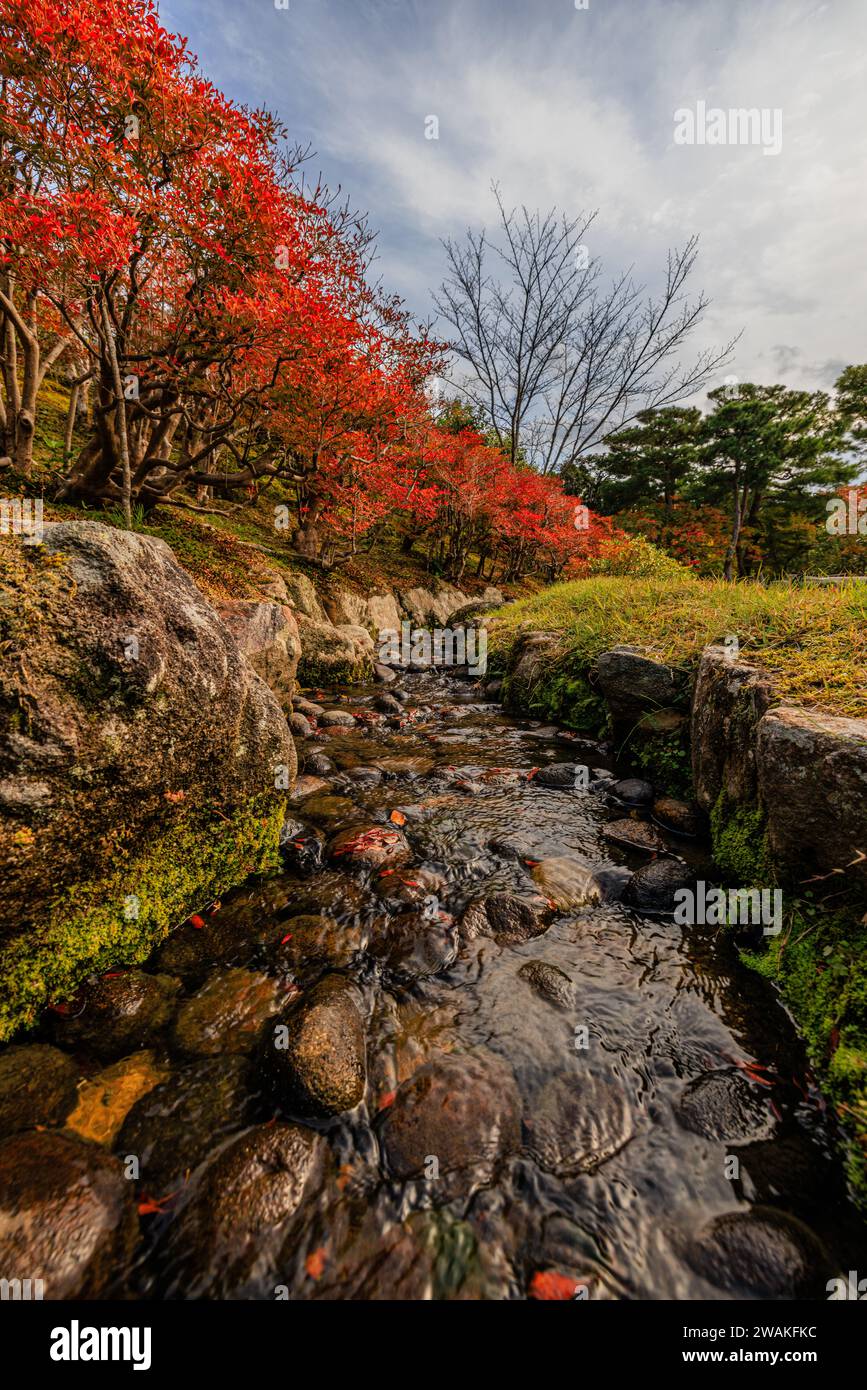 a small stream running in a channel in the isuien japanese garden in nara with red autumnal leaves Stock Photo