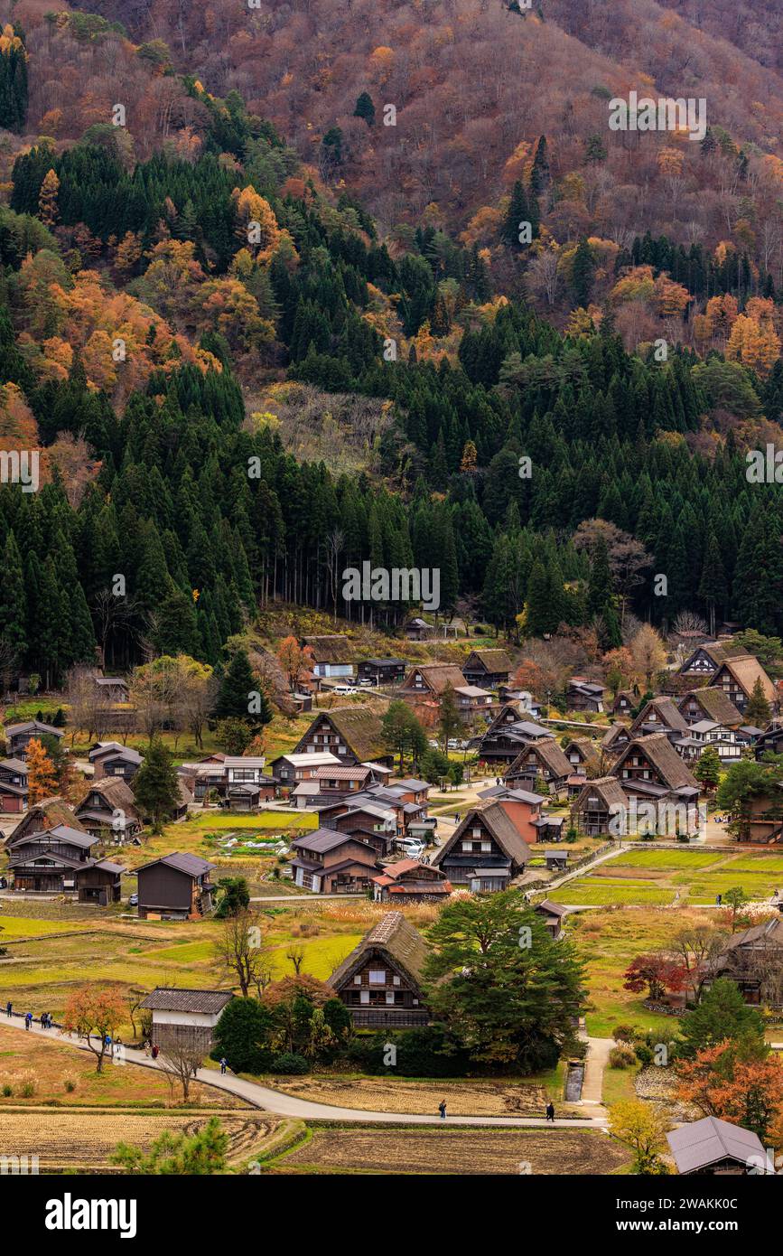 overhead view of shirakawago village of gassho praying hands houses with thatched roofs in flat valley beneath hills with colourful autumn foliage Stock Photo