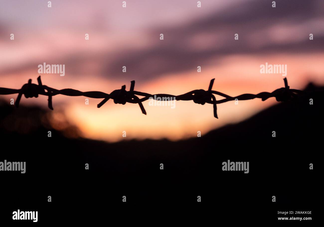 Mesh fence with barbed wire on a background of blue sky Stock Photo - Alamy