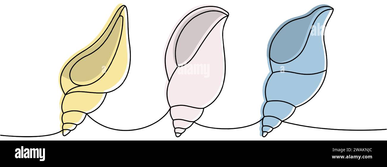 Sea shells. Sea shells, mollusks, scallop, pearls. Tropical underwater ...