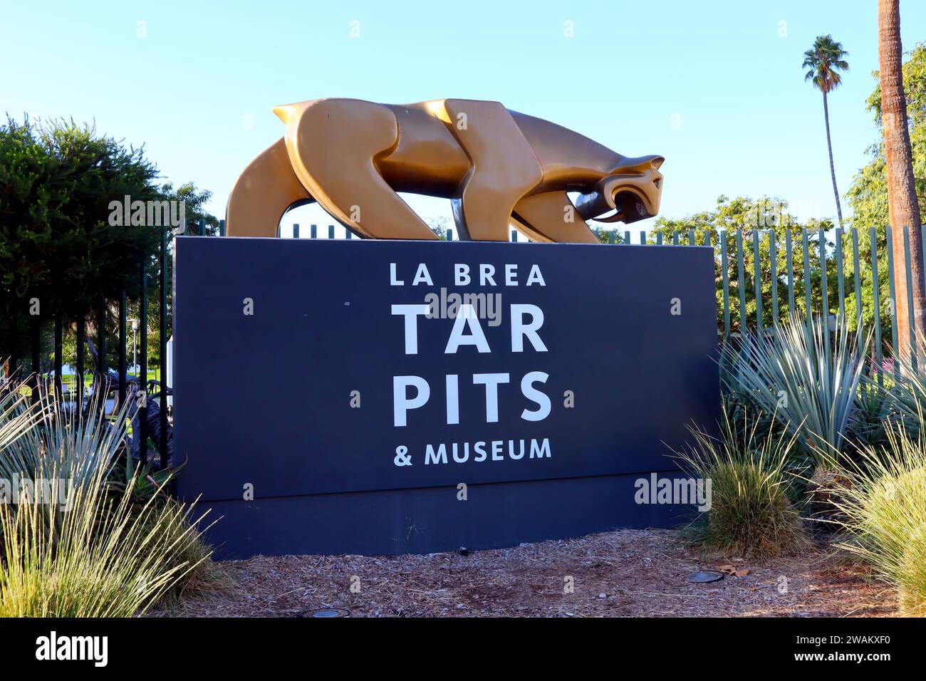 Los Angeles, California LA BREA TAR PITS and Museum, one of the world