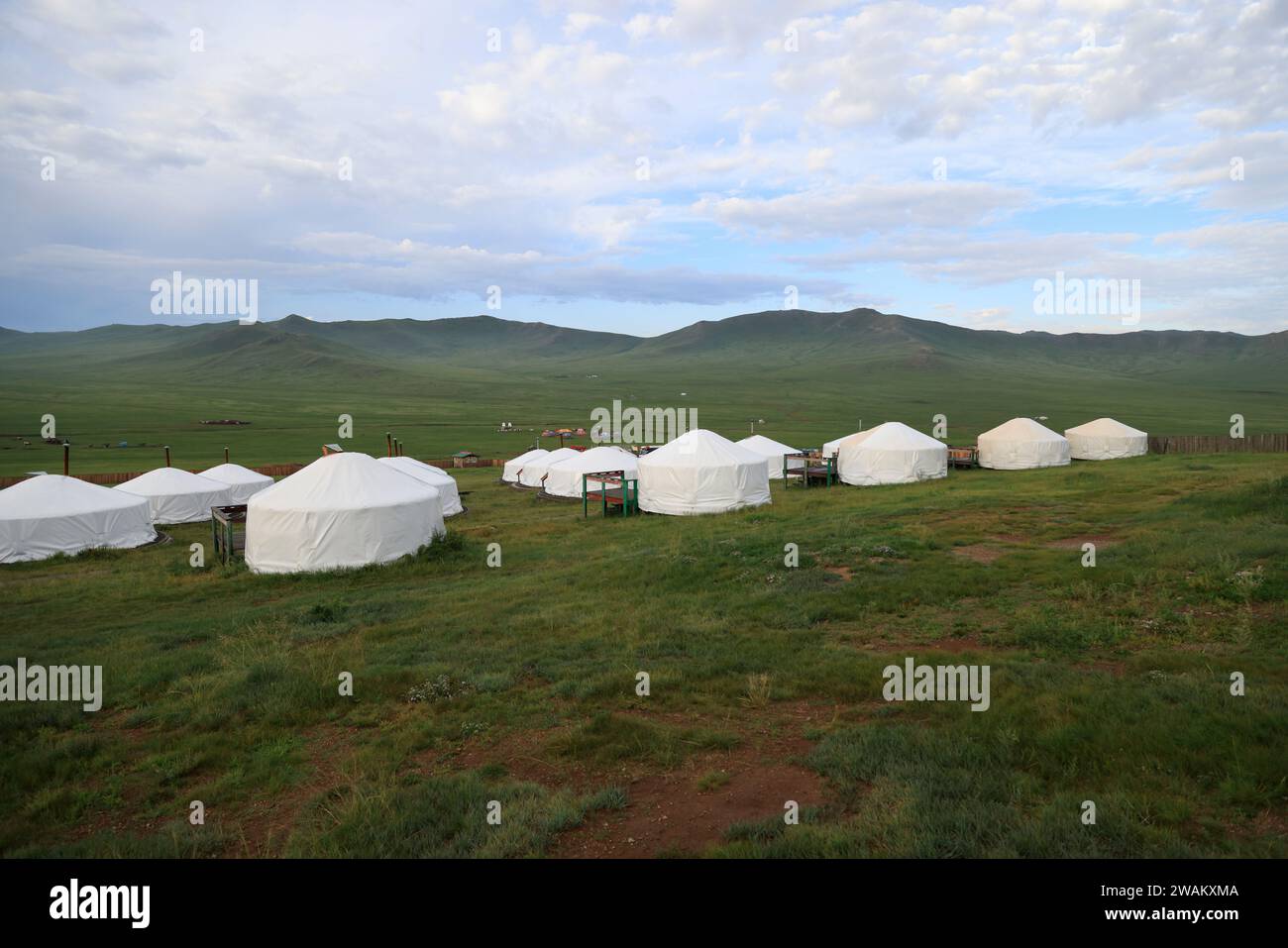 Ger camp in green Mongolia Stock Photo - Alamy