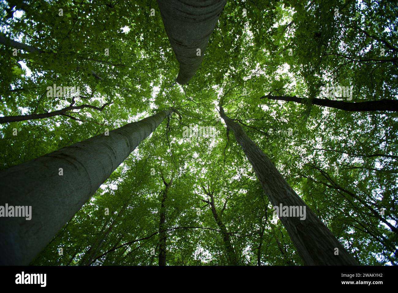 One perspective view hi-res stock photography and images - Alamy