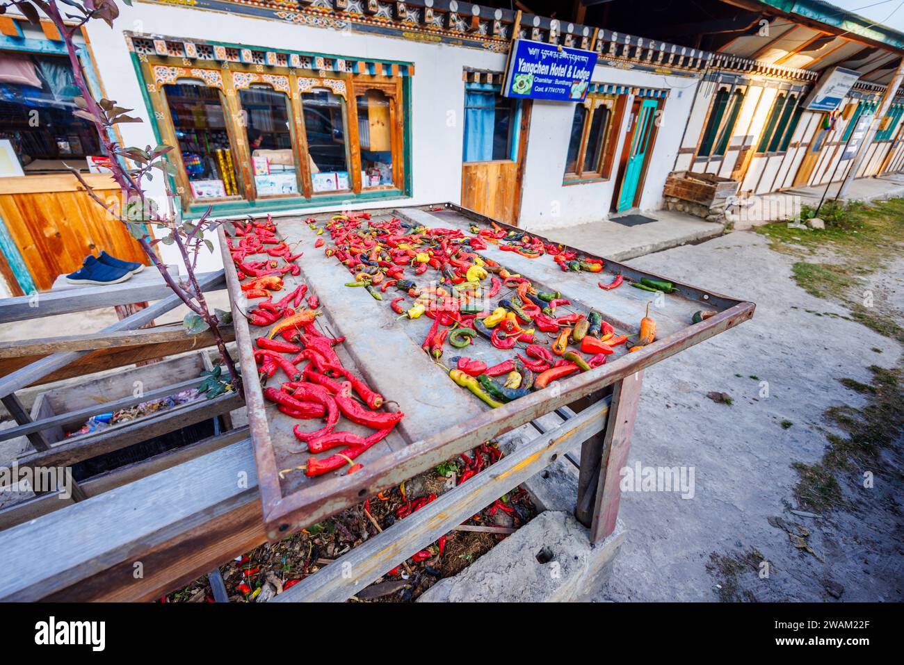 Sun dried red chillies peppers laid out drying in the open air outside