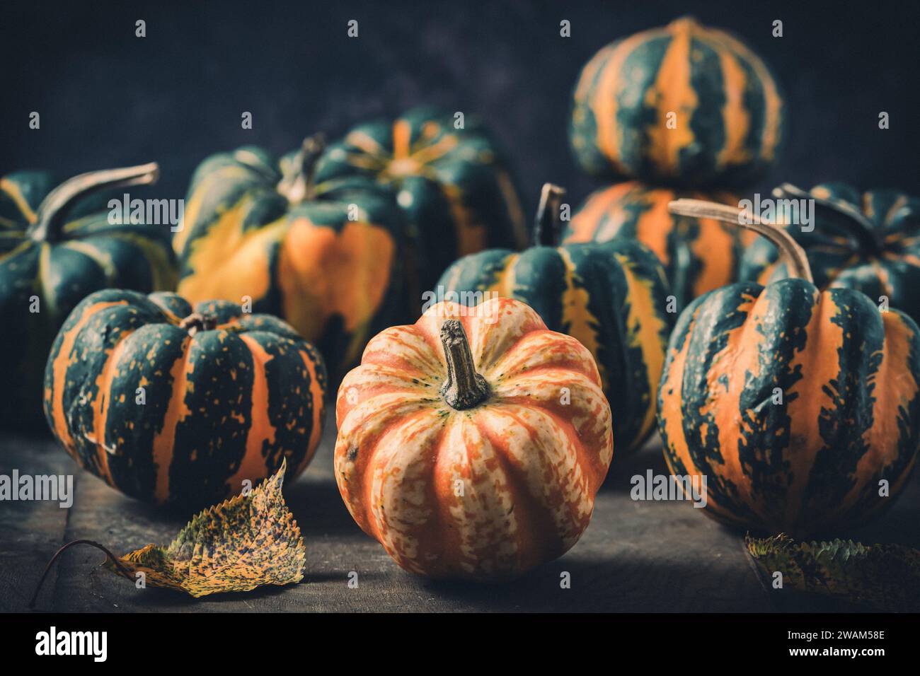Various small pumpkins with a striped pattern on dark background Stock Photo