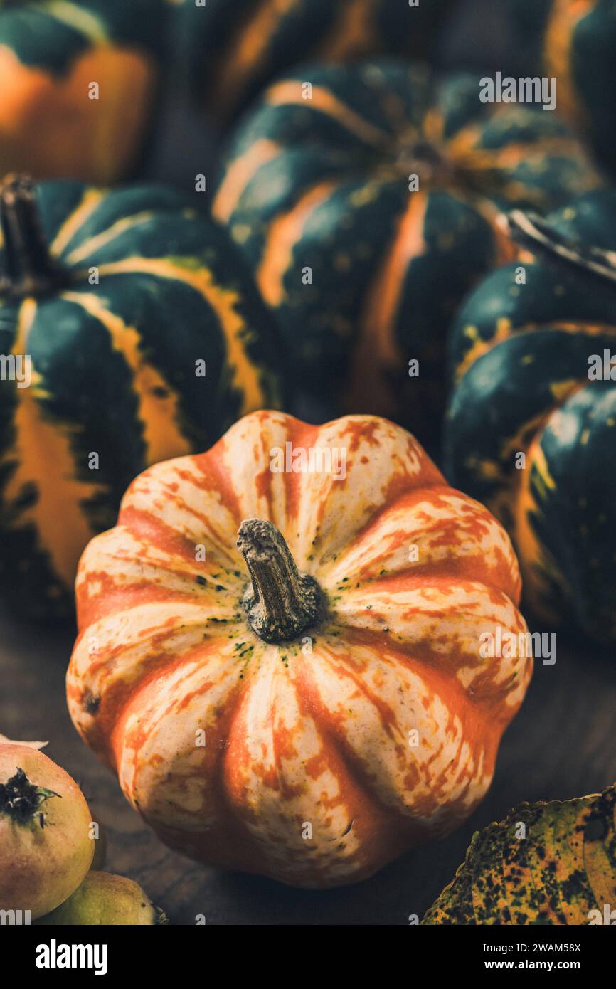 Close-up of various small pumpkins with a striped pattern Stock Photo