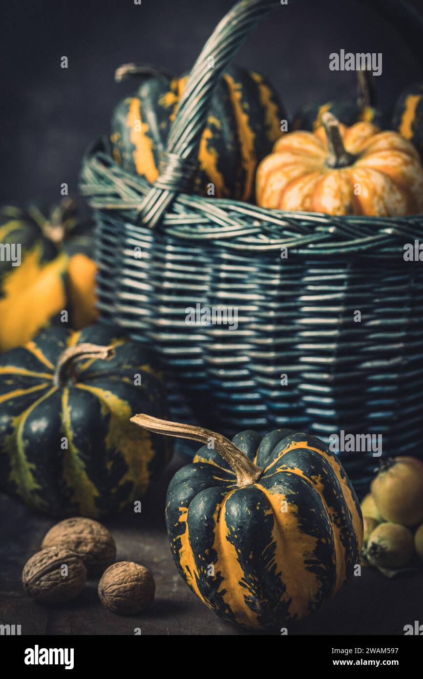 Basket with various small pumpkins with a striped pattern on dark background, vertical Stock Photo