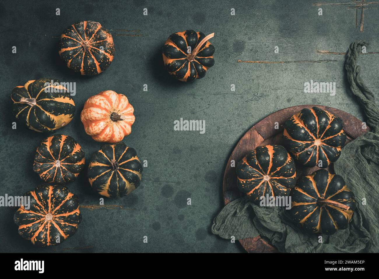 Various small pumpkins with a striped pattern on dark green background, top view Stock Photo