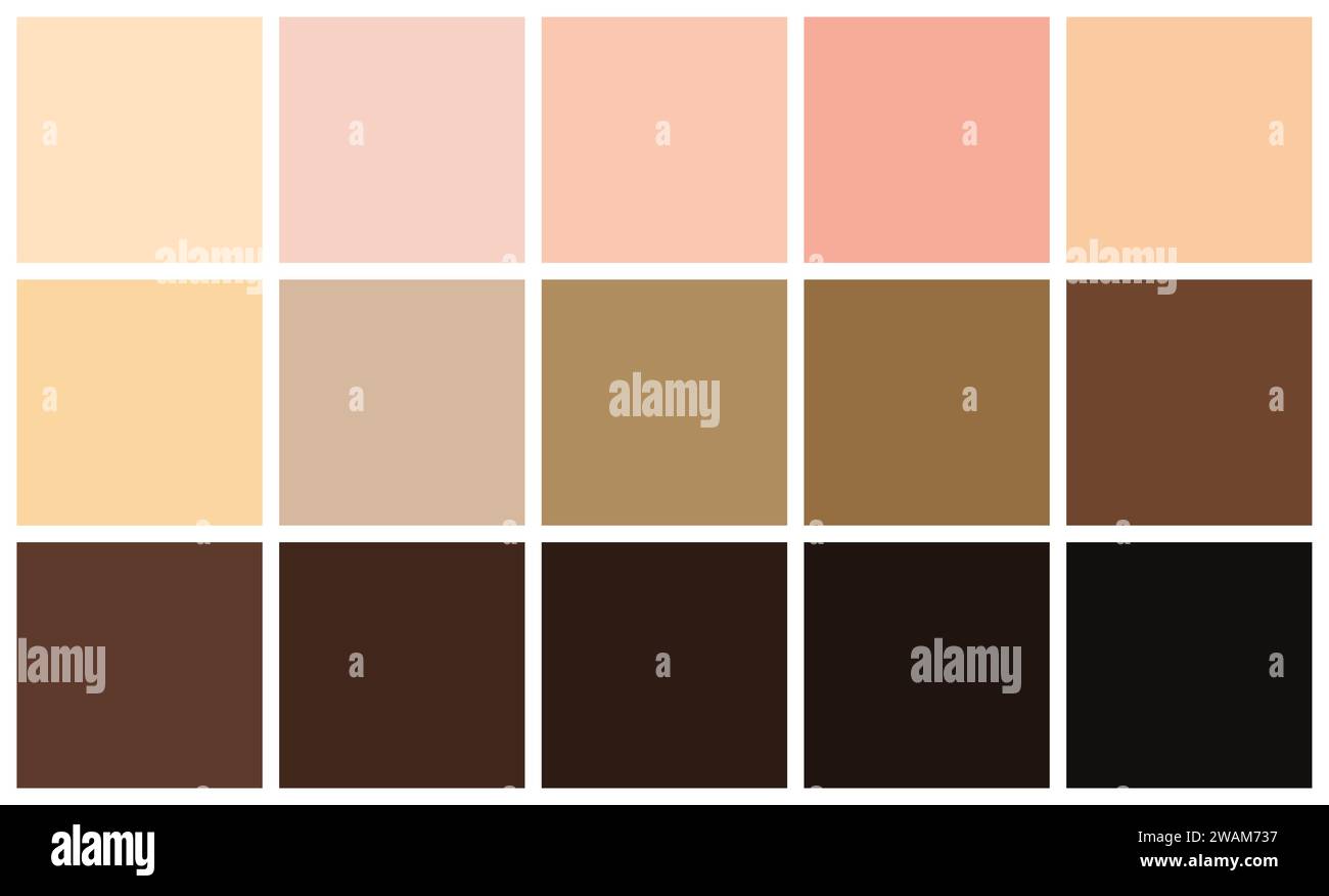 Human skin tones color palette set. Skin color from the lightest to darkest brown hues, coloring of a person face and body complexion. Vector illustra Stock Vector