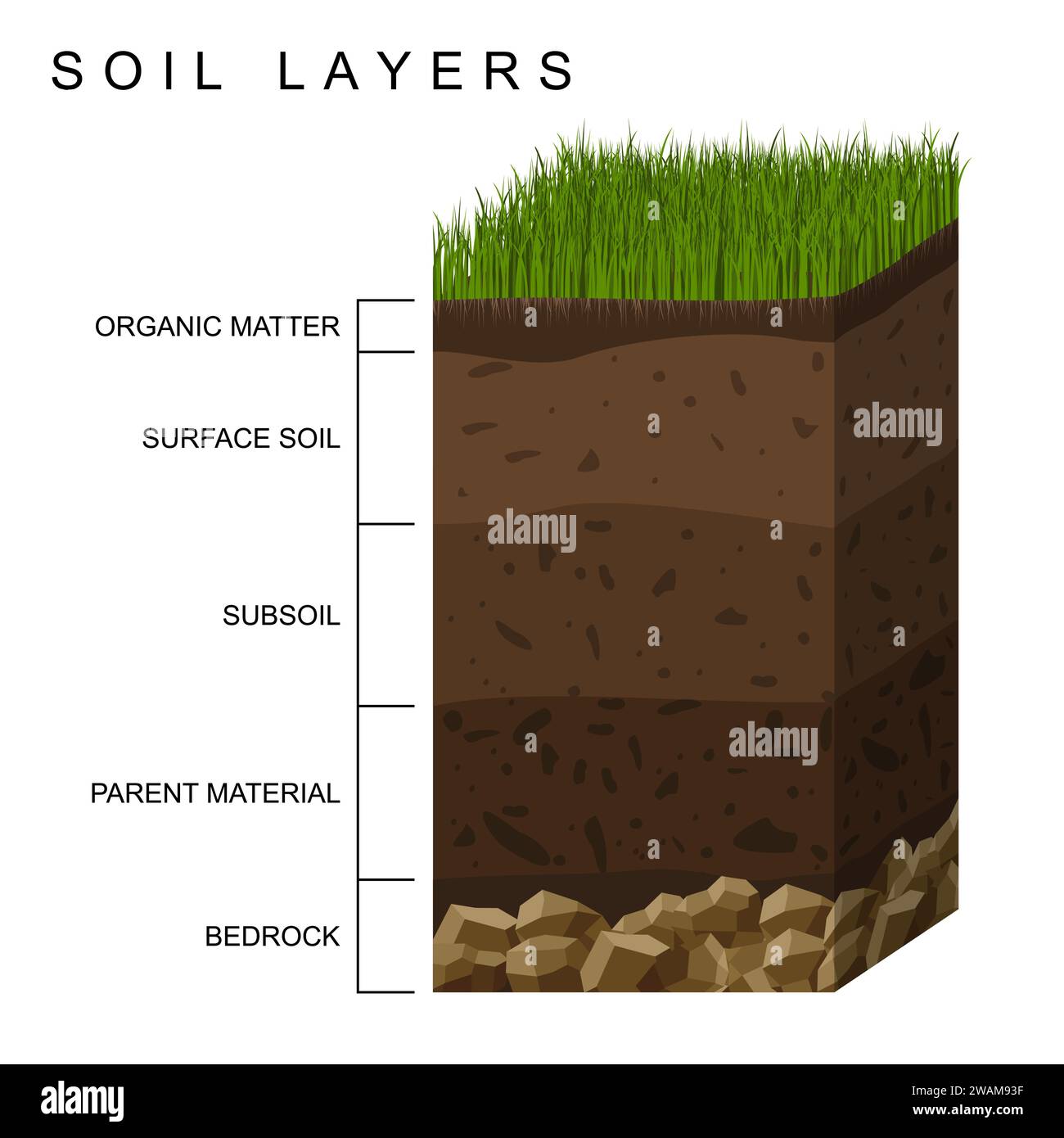 Soil layers diagram earth texture, stones. Ground with green grass on top. Mineral particles, sand, humus and stones, natural fertilizer. Geology info Stock Vector