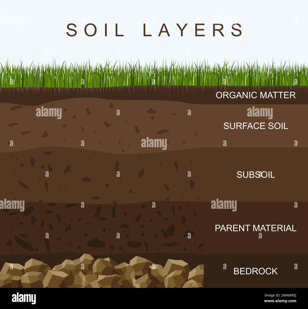 Soil layers diagram earth texture, stones. Ground with green grass on top. Mineral particles, sand, humus and stones, natural fertilizer. Geology info Stock Vector
