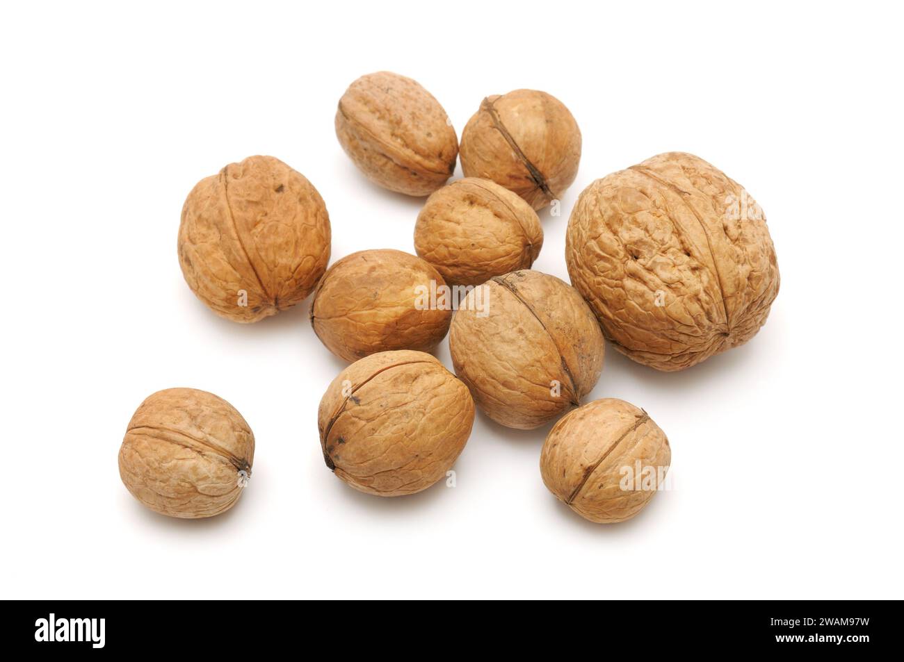 collections walnut isolated on white Stock Photo