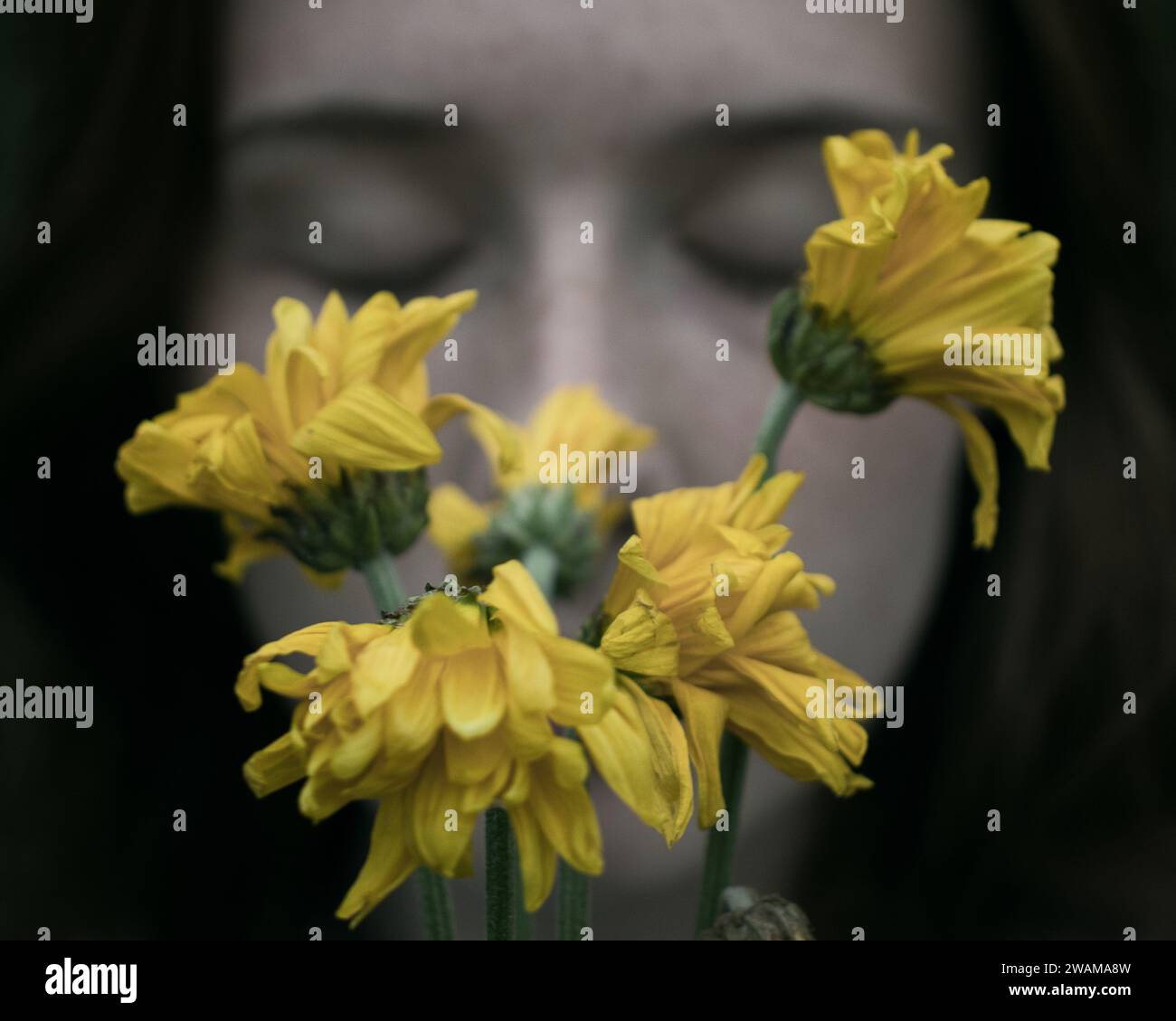 Holdingplants hires stock photography and images Alamy