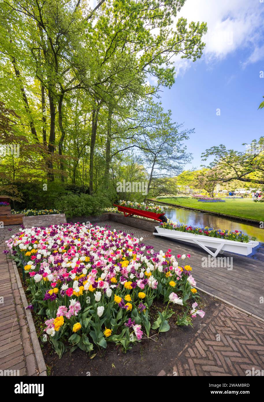 Keukenhof flower garden - largest tulip park in world, Lisse ...