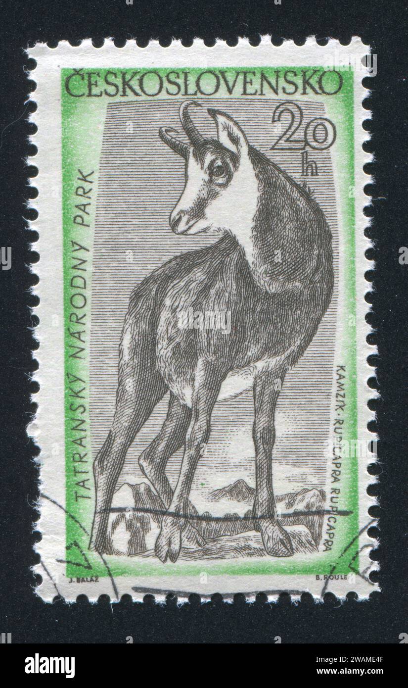 CZECHOSLOVAKIA - CIRCA 1957: stamp printed by Czechoslovakia, shows Chamois, circa 1957 Stock Photo