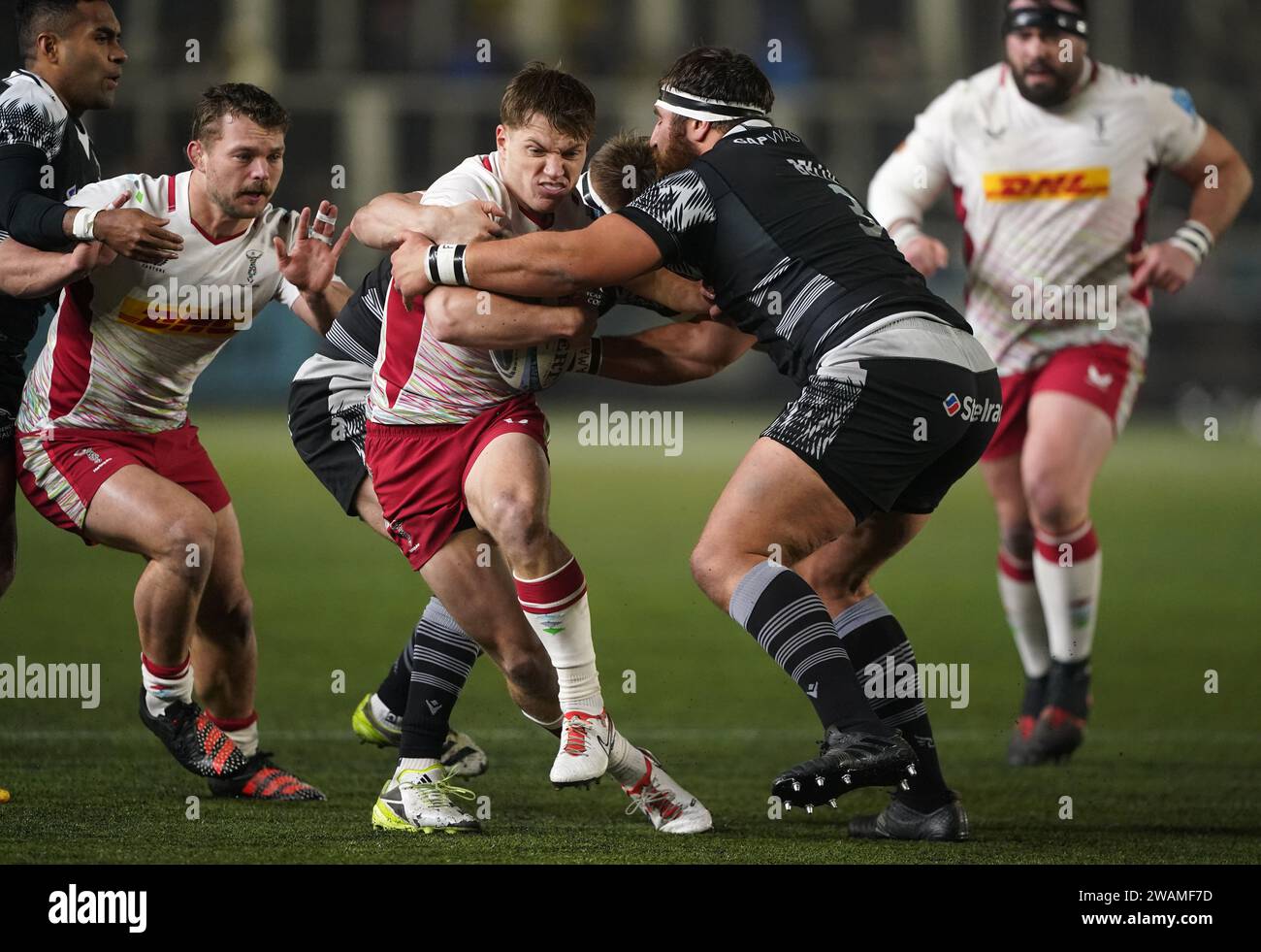 Harlequins