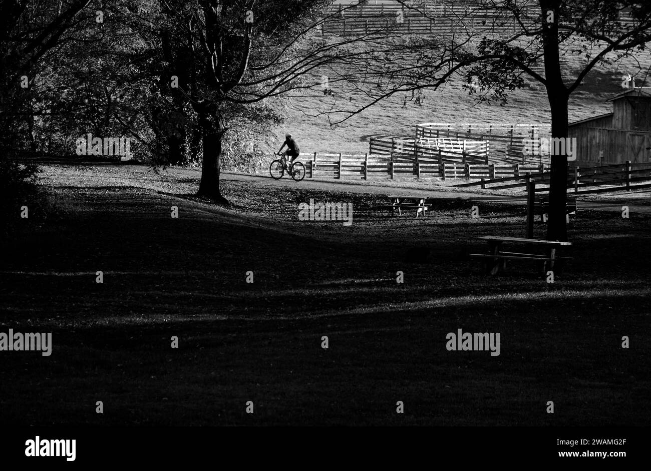 Bicycle riders and walkers enjoy a warm fall afternoon on the popular