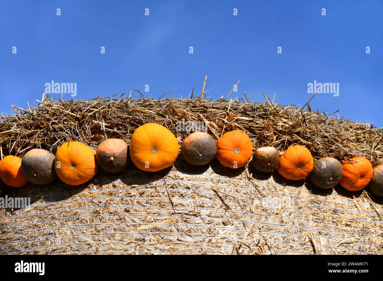Pumpkins on a bale of straw Stock Photo - Alamy