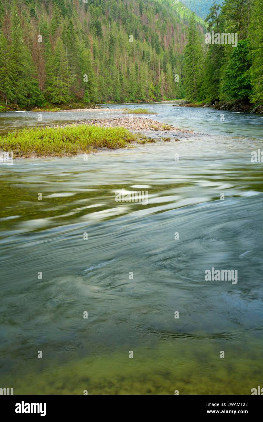 Selway River from Selway River Trail, Selway Wild and Scenic River, Nez