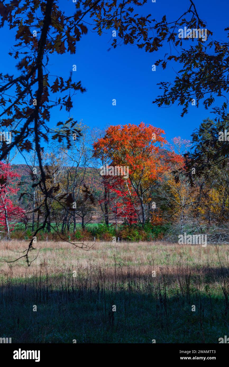 Autumn in Cades Cove, Great Smoky Mountains National Park Stock Photo