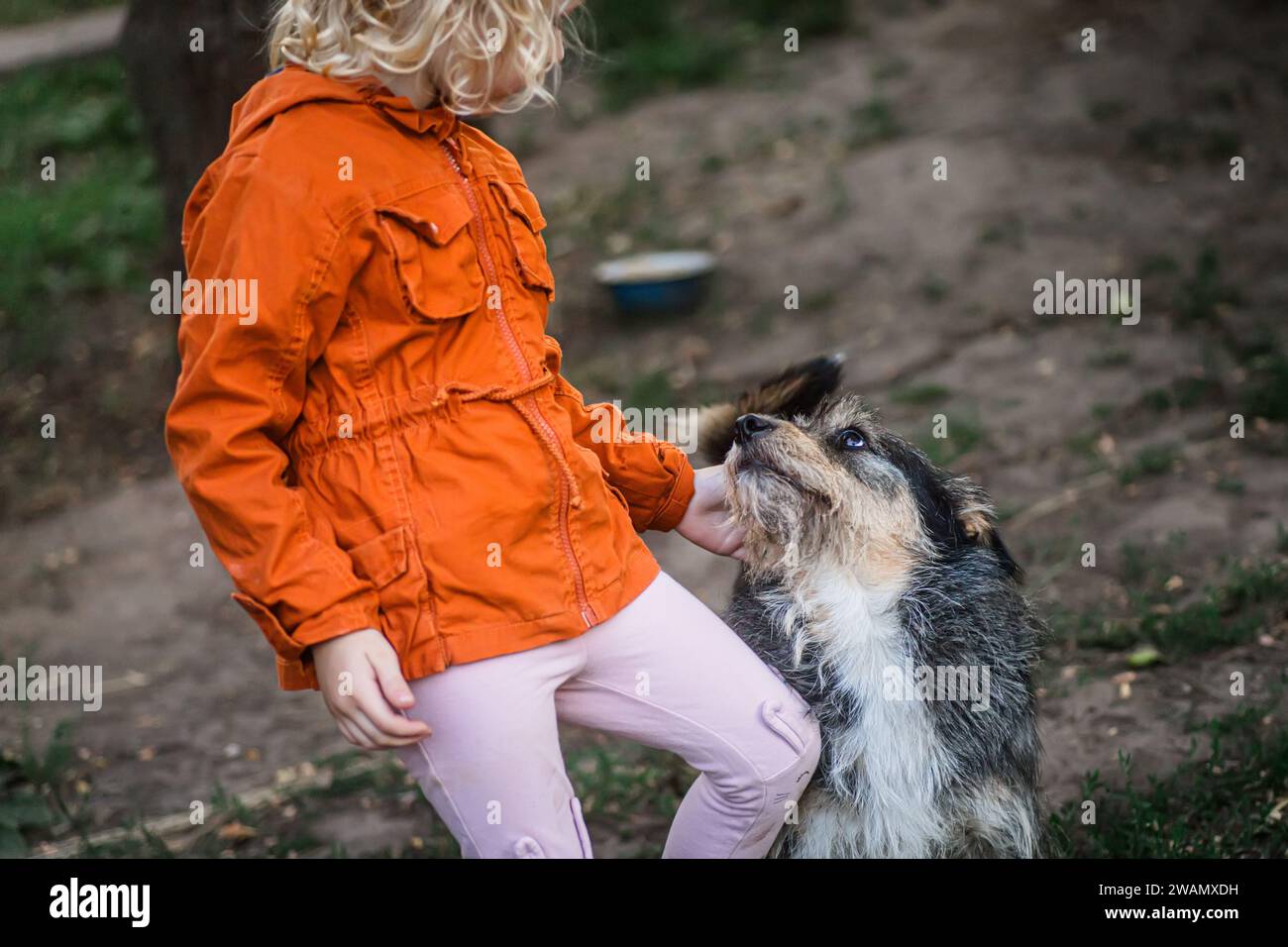 Little girl playing with yard dog in the backyard of the house Stock ...
