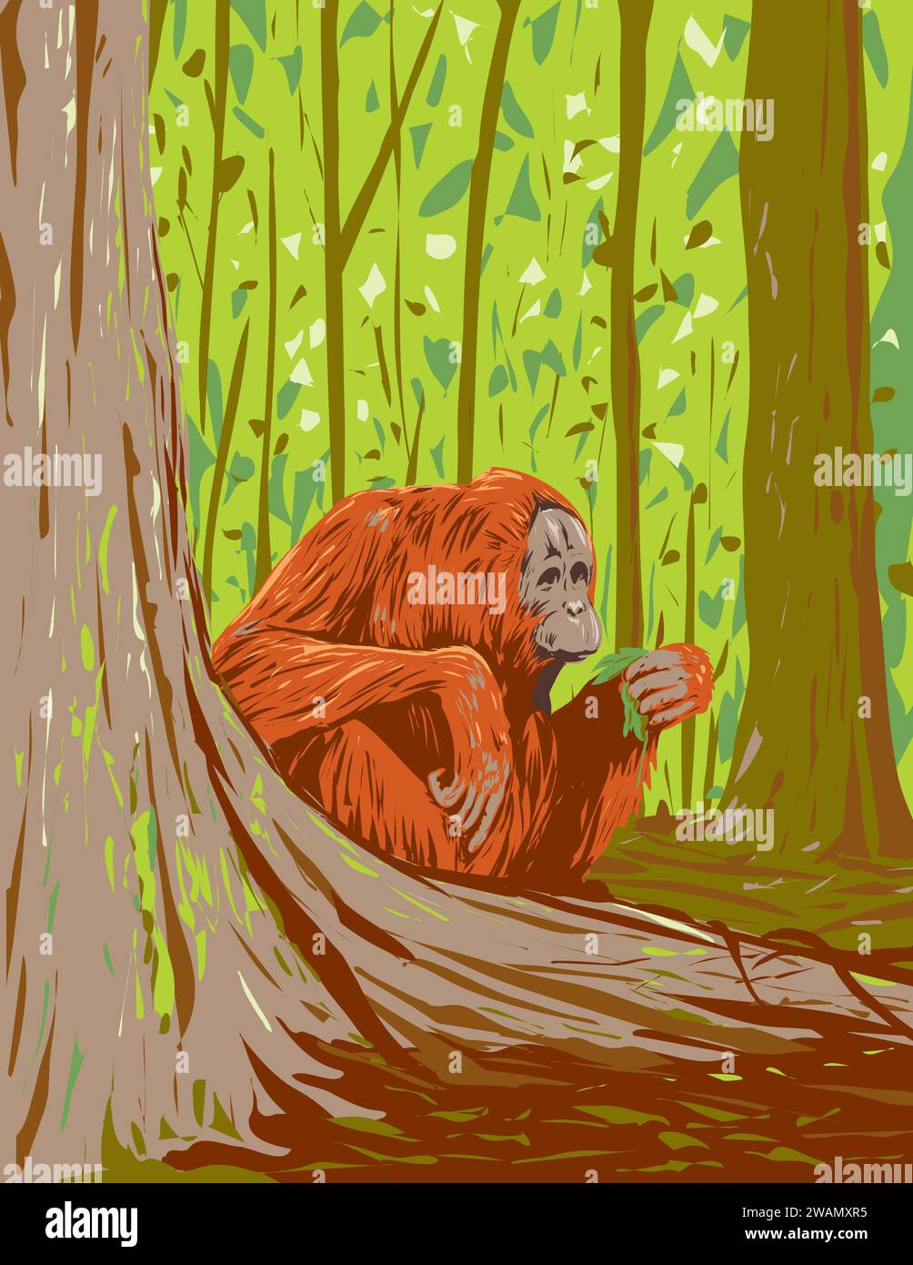 Art Deco or WPA poster of an orangutan in the forest of Kutai National Park located in East Kalimantan on Indonesian Borneo done in works project admi Stock Photo
