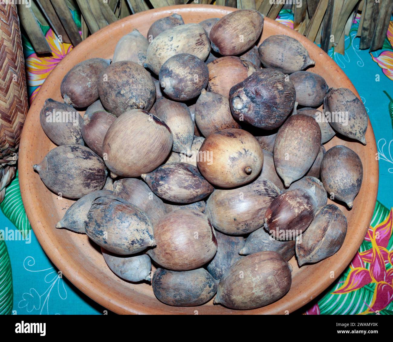 Coconuts, from the babassu palm, in a clay bowl, seeds of Attalea speciosa (babaçu, babassu, babassu, cusi) a palm tree from the Arecáceas family. Stock Photo