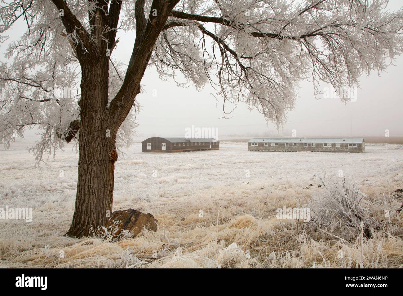 Living Barracks and Mess Hall, Minidoka National Historic Site, Idaho Stock Photo