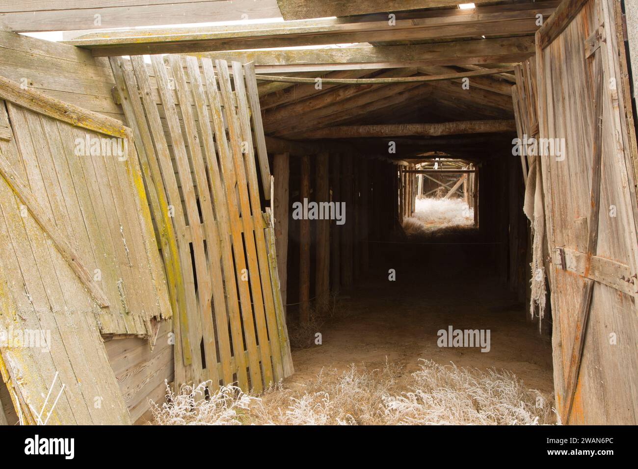 Root cellar, Minidoka National Historic Site, Idaho Stock Photo