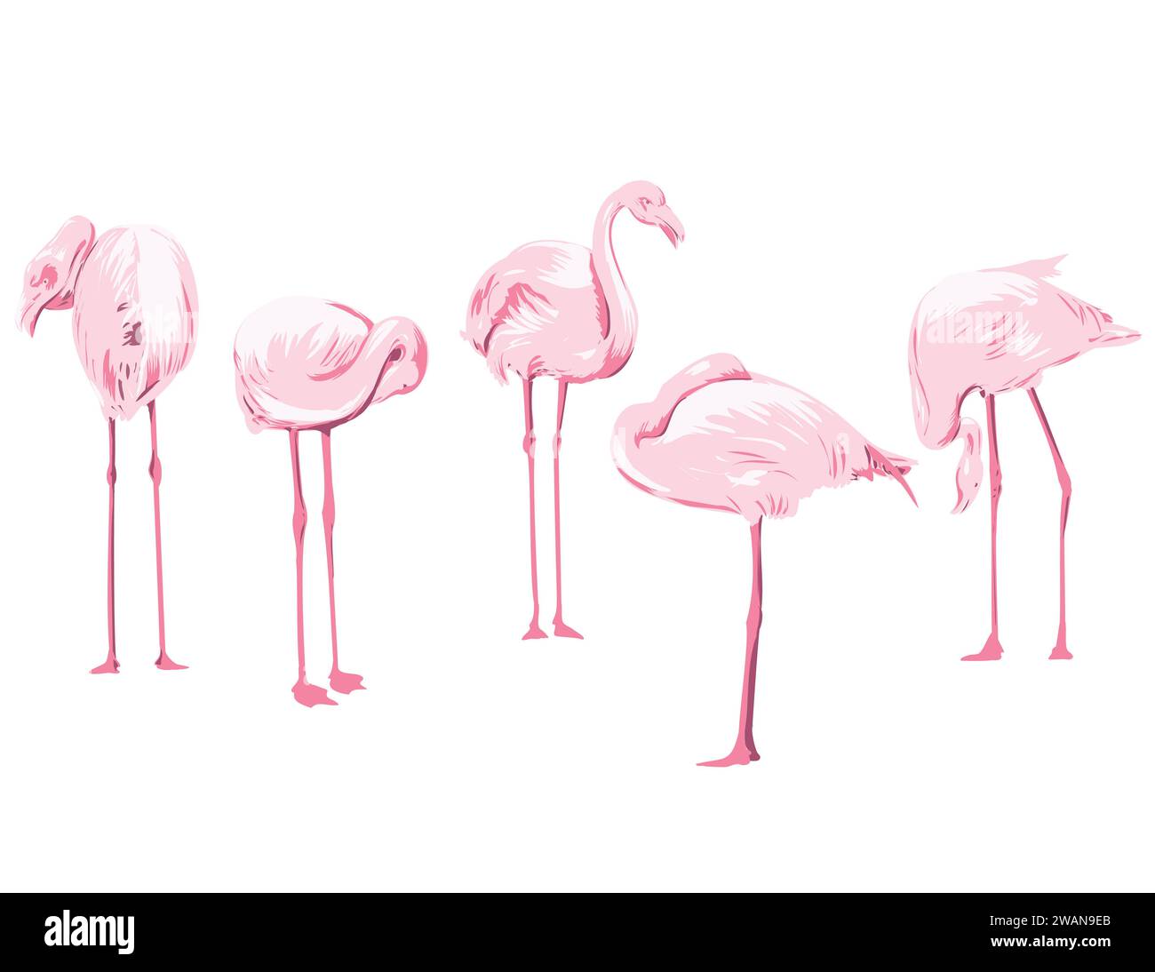 Art Deco or WPA poster art of a flock of flamingos or flamboyance viewed from side on isolated white background done in works project administration s Stock Photo