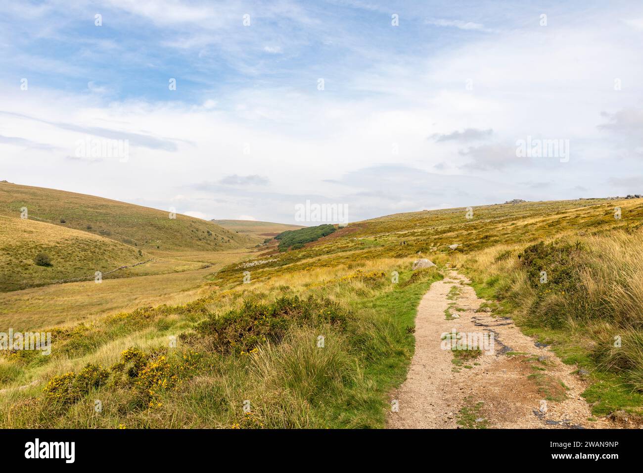 West Dart valley and Wistmans oak wood in the distance, walking path to ...