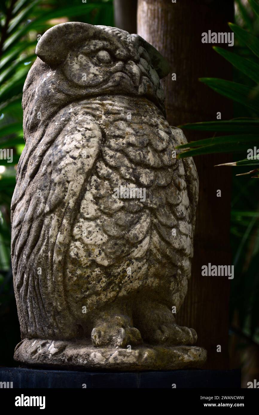 Auckland, New Zealand. A funny and cute outdoor sculpture representing a stone owl installed in Sculptureum park. Stock Photo