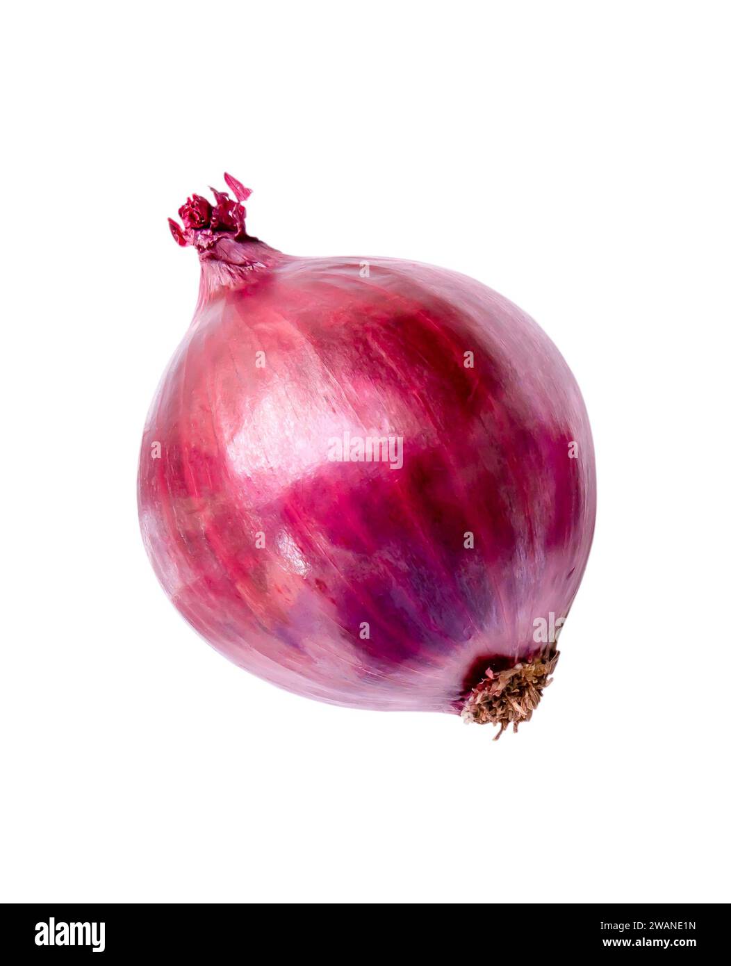 Top view and flat lay of red onion bulb is isolated on white background ...