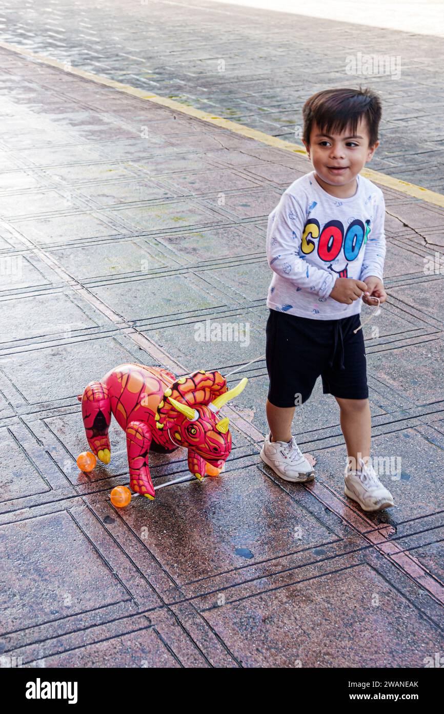 Merida Mexico,centro historico central historic district,pulling toy dinosaur triceratops,child children childhood,kid,boy male,resident,pedestrians,w Stock Photo