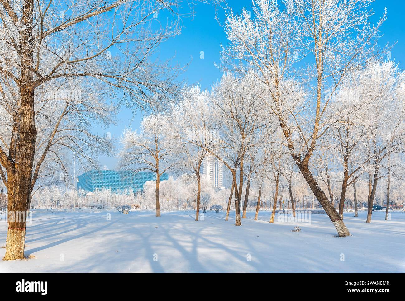 City of daqing hi-res stock photography and images - Alamy