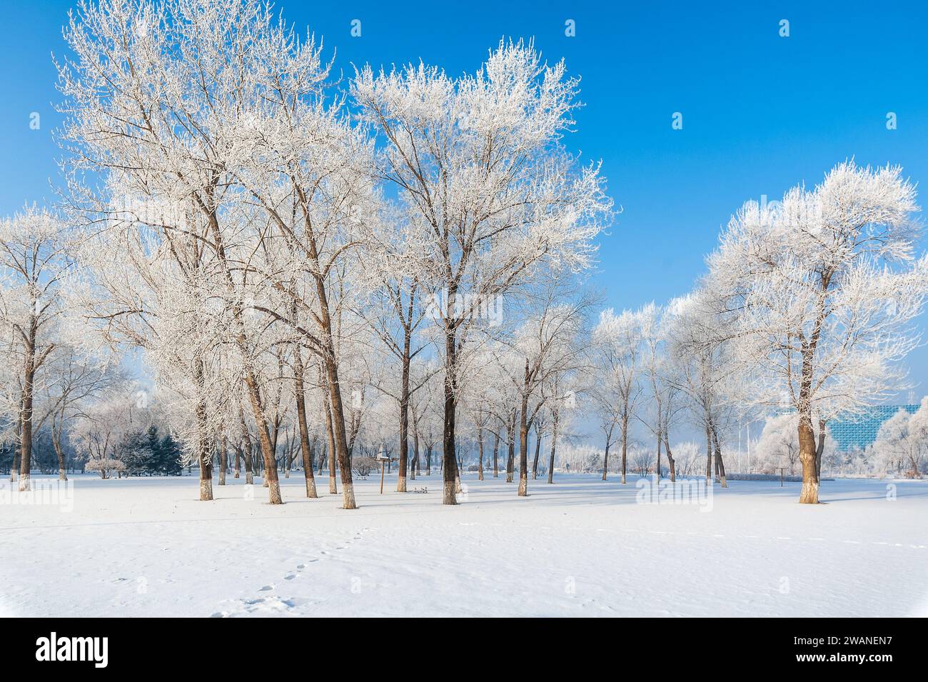 City of daqing hi-res stock photography and images - Alamy